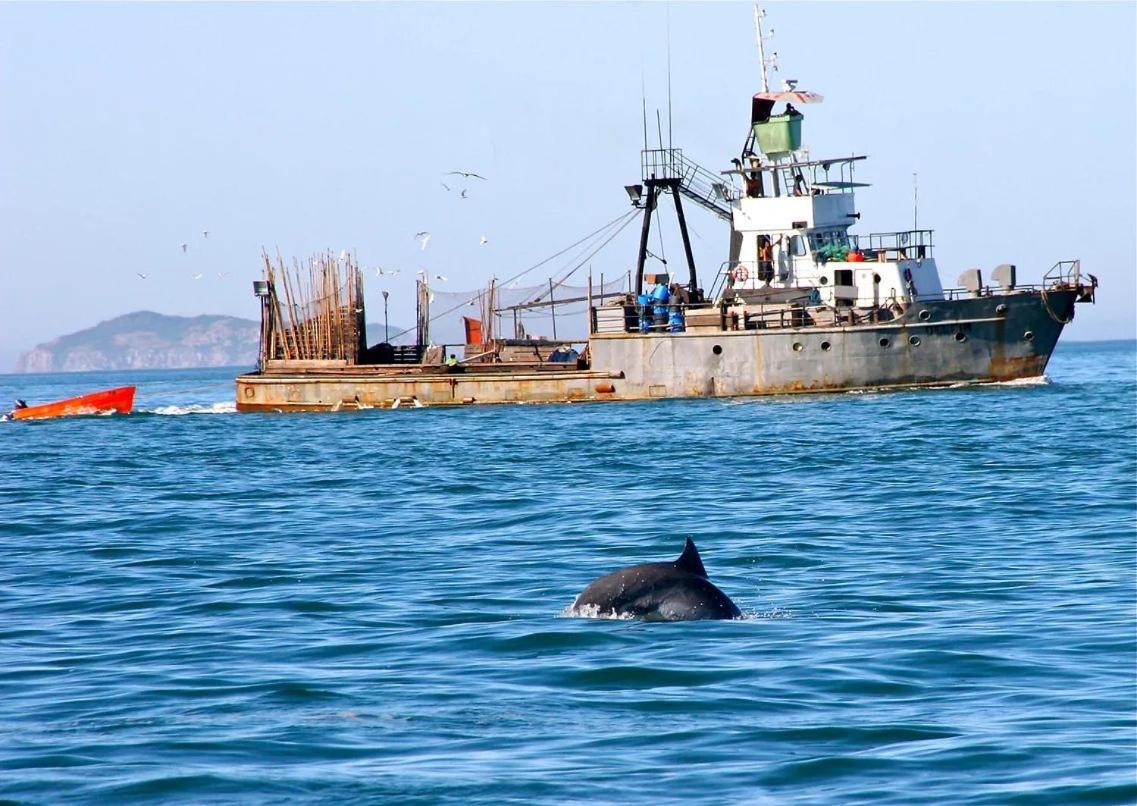 Ilha Do Papagaio - Pousada Exclusiva Ξενοδοχείο Palhoça Εξωτερικό φωτογραφία
